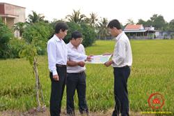 Đường tỉnh 827E: Trục động lực kết nối vùng duyên hải miền Tây Nam bộ và TP.Hồ Chí Minh