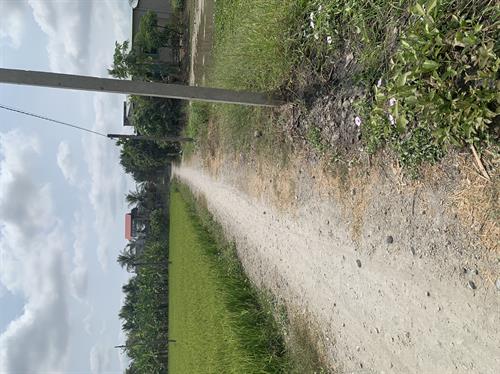 Bán đất thổ cư Đường 19/5,xã Tân Lân, Huyện Cần Đước 