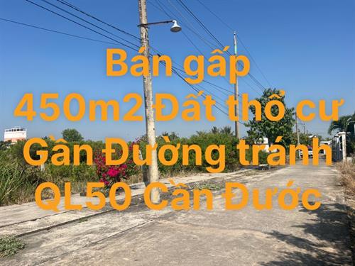 Bán đất Ấp Bà Chủ , Xã Tân Lân , Huyện Cần Đước T2/2024 