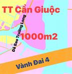 Bán đất đê bao Trường Long Cần Giuộc LA 