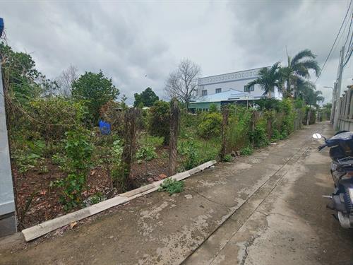 Bán đất Tân Kim   - TT Cần Giuộc 