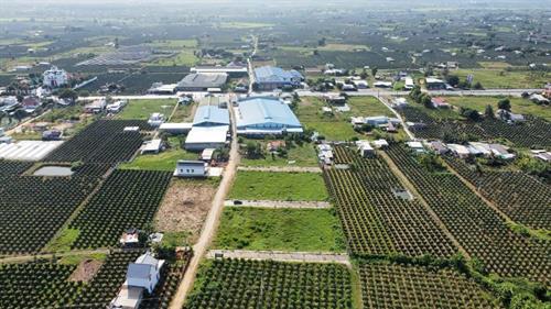 Đất nền giá rẻ Hàm Thuận Nam 