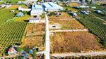 Đất nền giá rẻ Hàm Thuận Nam 