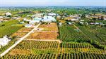 Đất nền giá rẻ Hàm Thuận Nam 