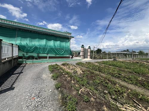 Nhà cấp 4 Trường Bình , Cần Giuộc 