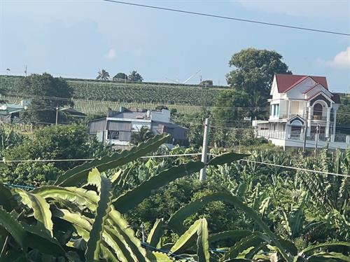 Đất  Mặt Biển Phan Thiết 300m2 