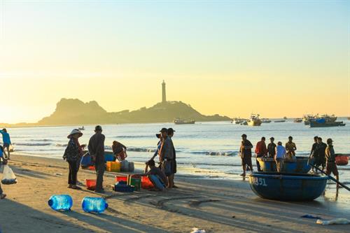 LỘC ĐẦU XUÂN ĐỂ LẠI LÔ ĐẤT  VEN BIỂN PHAN THIẾT 790Tr ( Bìa Đỏ )