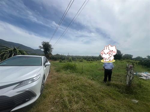 Bán nhanh Lô đất 400m2 giá chỉ 260 triệu đồng tặng nhà