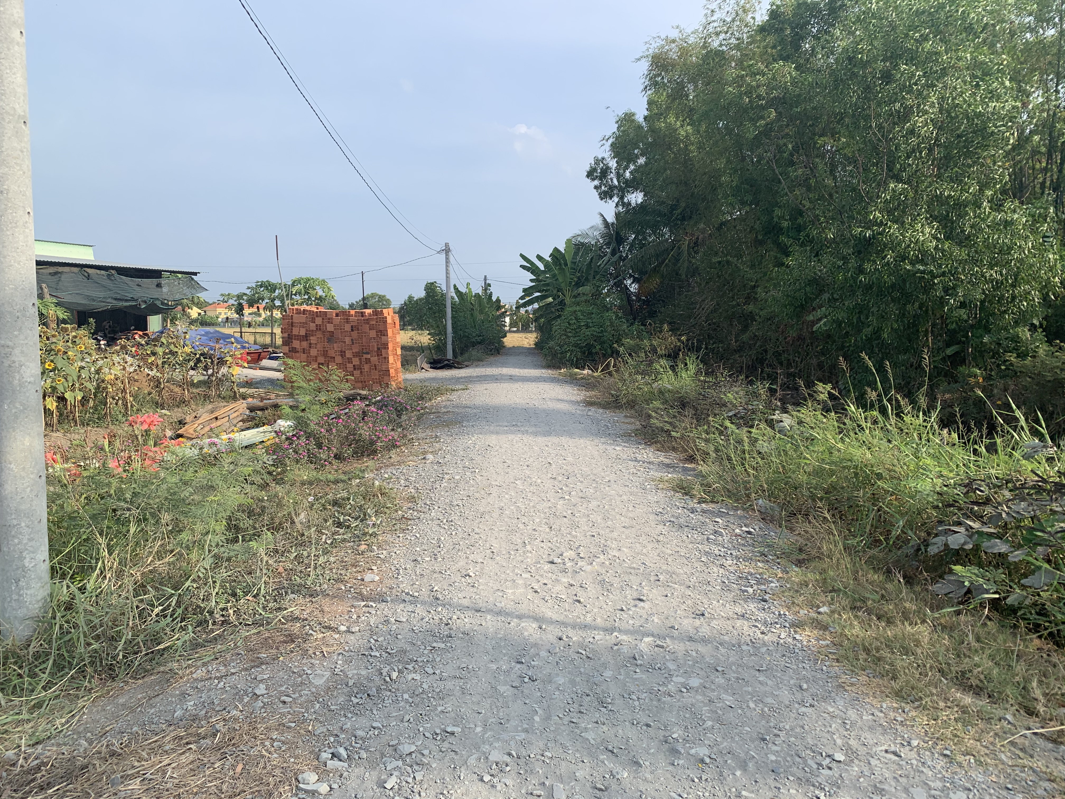 Đất bán