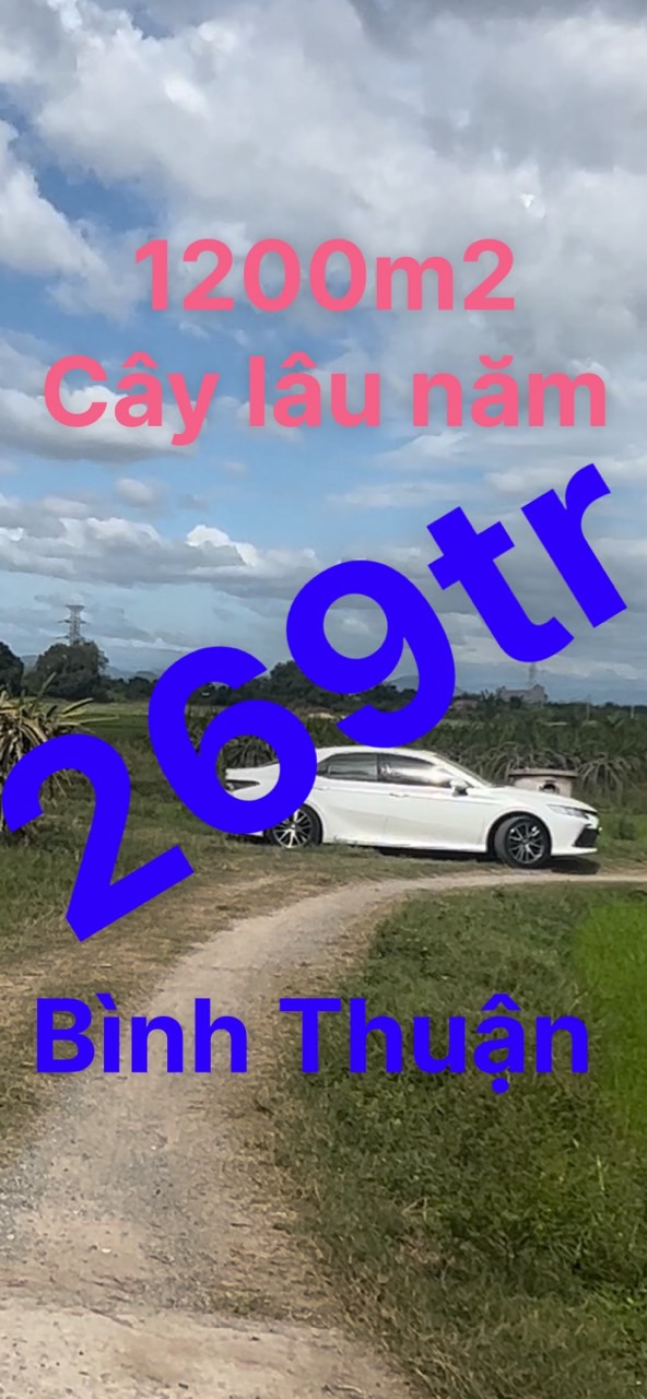 Nhà đất bán
