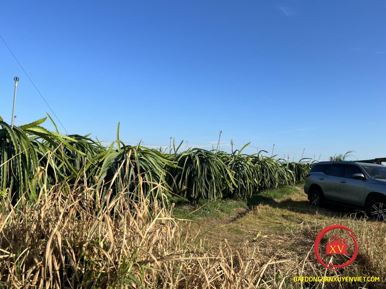 Hàm Thuận Nam - Mảnh đất đầy triển vọng và phát triển